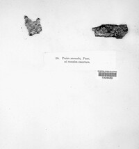 Image Associated With the Occurence